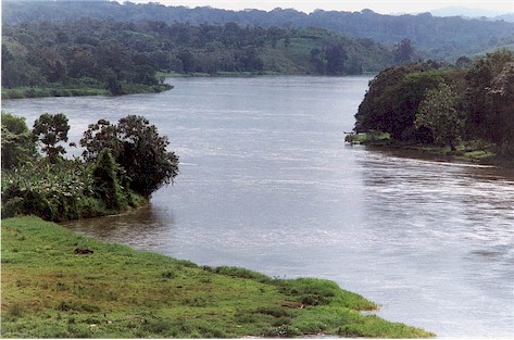 Foto del ro